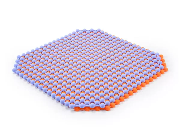 silicone cushion