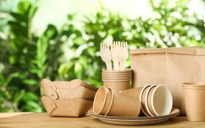 Biodegradable Blow Molding: A Greener Future for Packaging