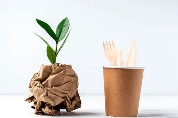 Biodegradable products